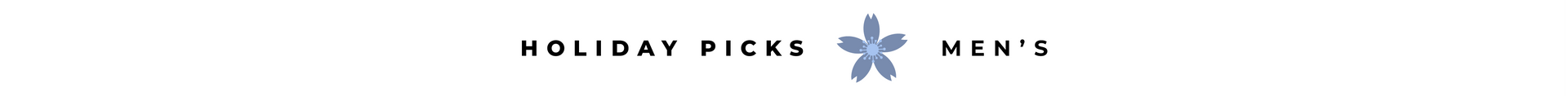 HOLIDAY PICKS-MEN banner
