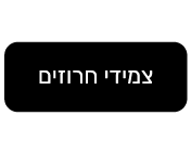 צמידי חרוזים